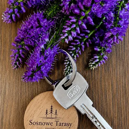 Sosnowe Tarasy *